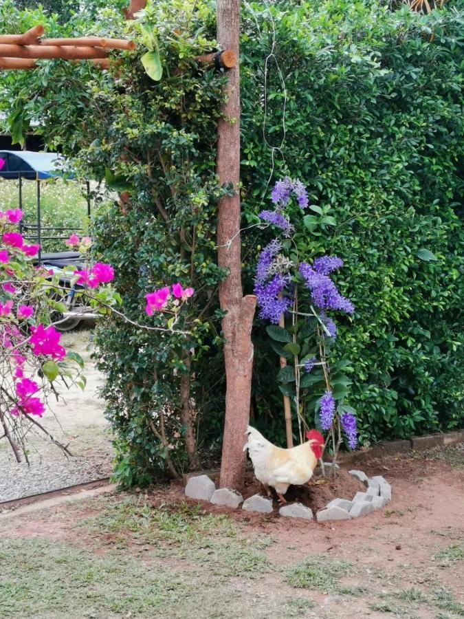 Krabilife Resort Ban Ko Kwang Luaran gambar