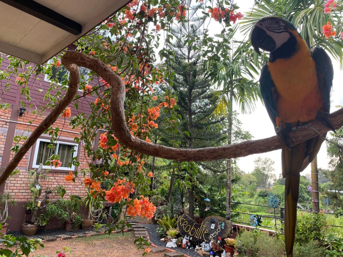 Krabilife Resort Ban Ko Kwang Luaran gambar